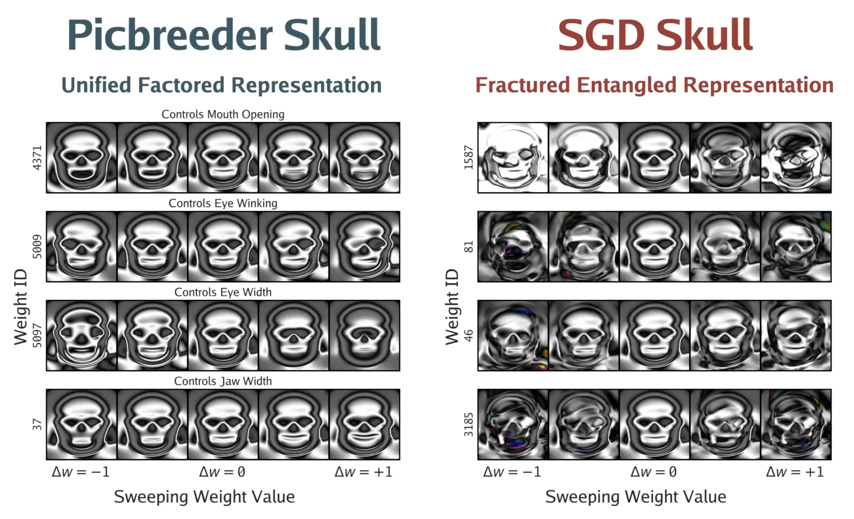 Unified vs. Factored Representations Output To Skull Variations